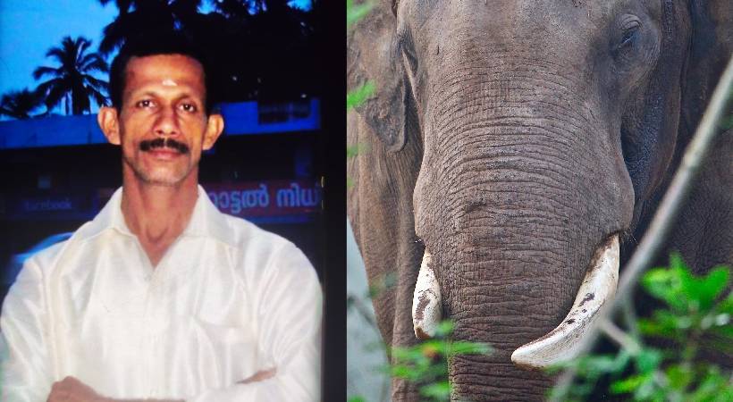 സംസ്ഥാനത്ത് വീണ്ടും കാട്ടാനക്കലി; തൃശൂരിൽ വയോധികനെ ചവിട്ടിക്കൊന്നു