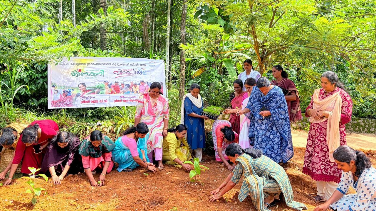 ഓണക്കനി നിറപ്പൊലിമ: ചെണ്ടുമല്ലി കൃഷി ആരംഭിച്ചു