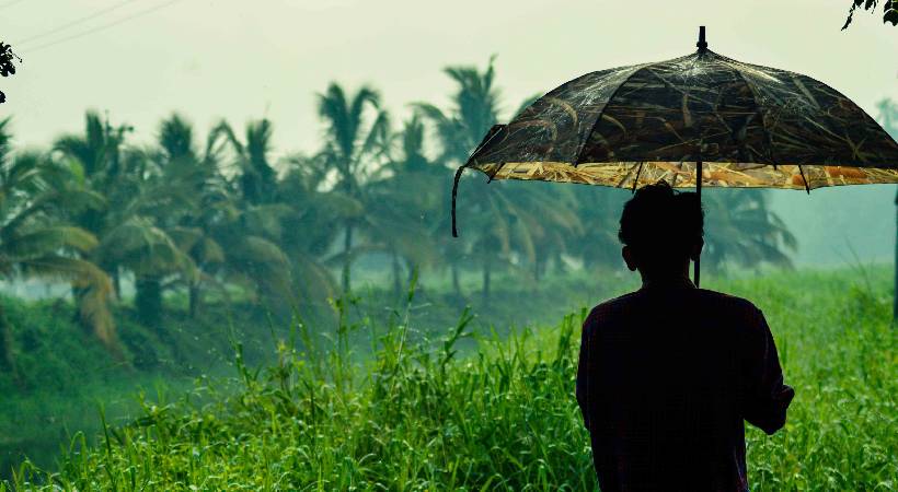 നാല് ദിവസം കൂടി ശക്തമായ മഴ തുടര്‍ന്നേക്കും; മൂന്ന് ജില്ലകളില്‍ ഇന്ന് മഴ മുന്നറിയിപ്പ്
