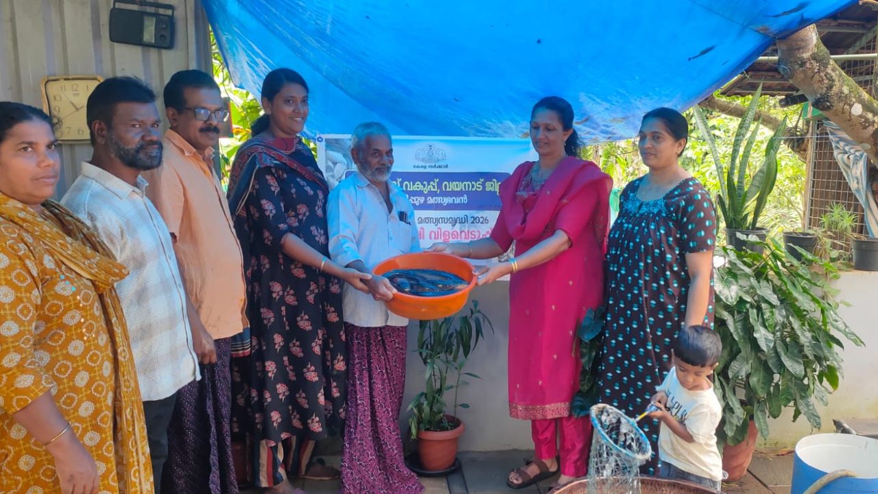 മത്സ്യ വിളവെടുപ്പ് നടത്തി