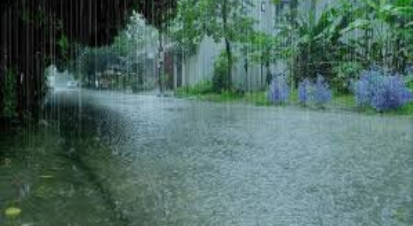 കനത്ത മഴ: ഇന്ന് 11 ജില്ലകള്‍ക്ക് യെല്ലോ അലേര്‍ട്ട്; രണ്ട് ജില്ലകളിലെ വിദ്യാഭ്യാസ സ്ഥാപനങ്ങള്‍ക്ക് അവധി
