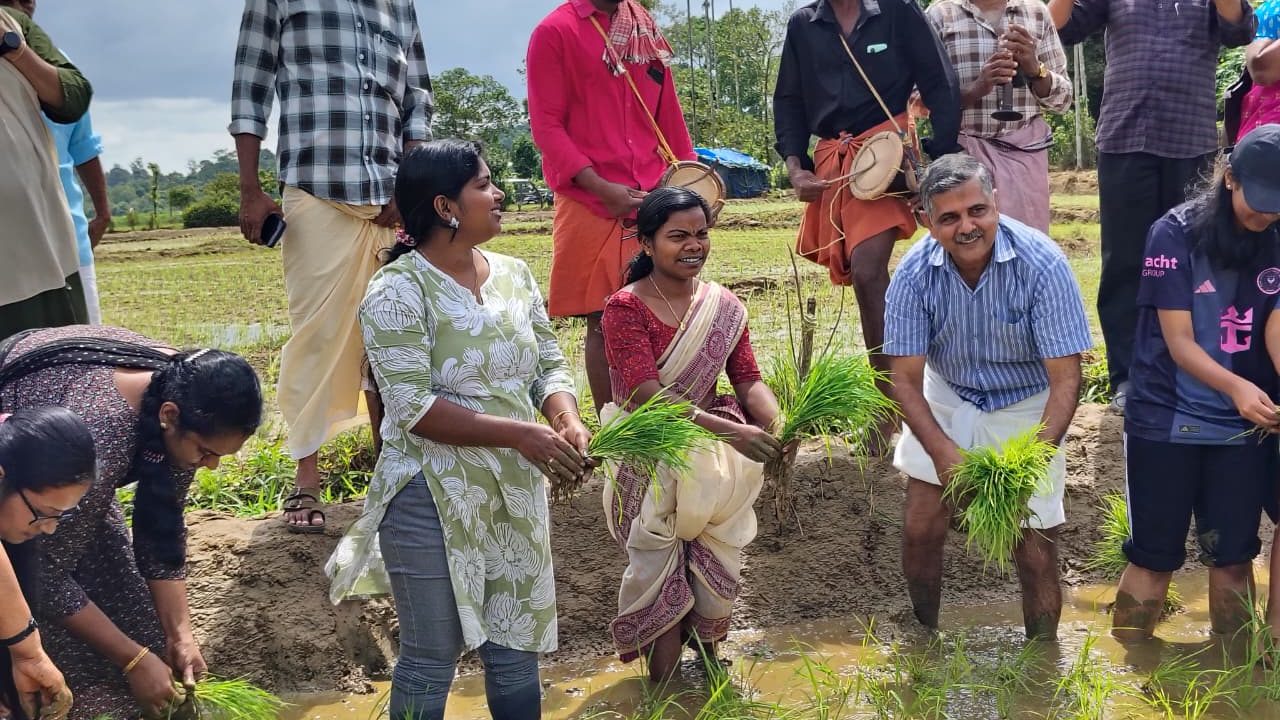 കുടുംബശ്രീ ജില്ലാ മിഷൻ കമ്പളനാട്ടി നടീൽ ഉത്സവം സംഘടിപ്പിച്ചു