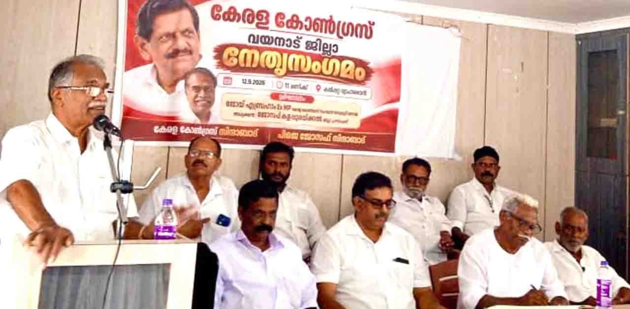 യുഡിഎഫ് ഐക്യത്തോടെ മുന്നോട്ട് പോകണം: ജോയ് എബ്രഹാം