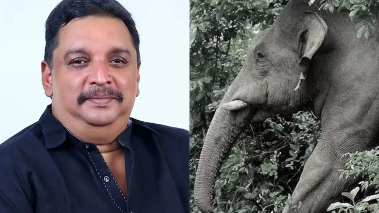 വന്യജീവി ആക്രമണം; കൃഷിനാശത്തിന്റെ നഷ്ടപരിഹാര തുക 100 ശതമാനം വര്‍ധിപ്പിച്ചു